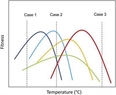 Thermal traits govern the response of microbial community dynamics and ecosystem functioning to warming